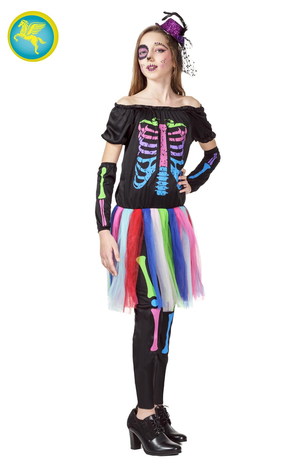 SCHELETRINA MULTICOLORE